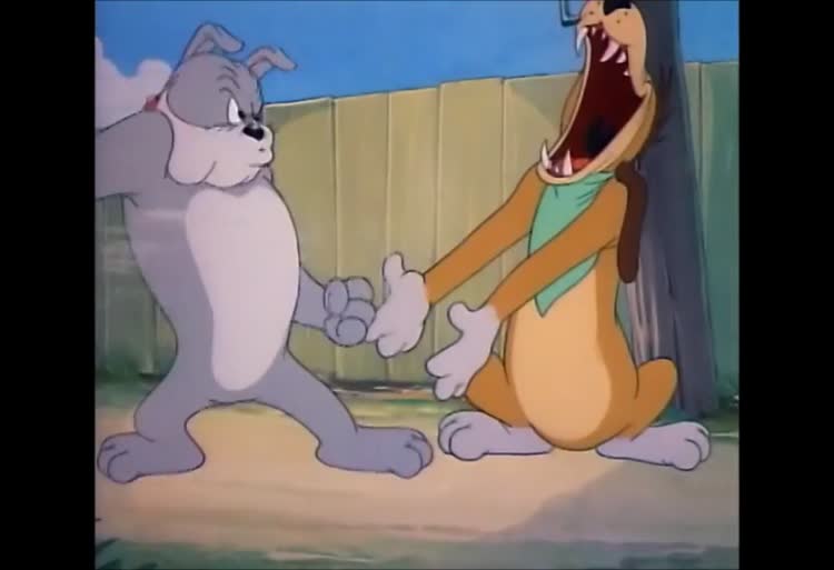 کارتون تام و جری اپیزود ۳۵  The Truce Hurts