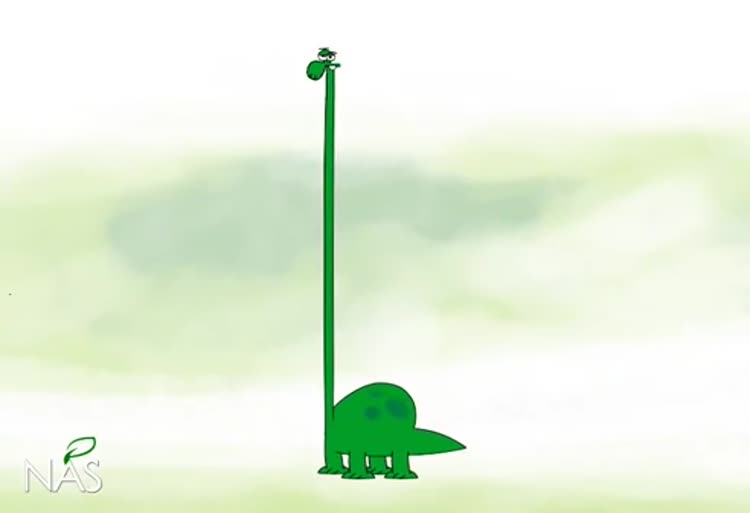 دیرین دیرین بخاری !!