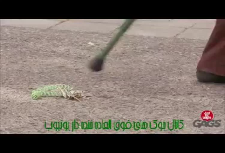 دوربین مخفی کتک خوردن پلیس از پیرزن