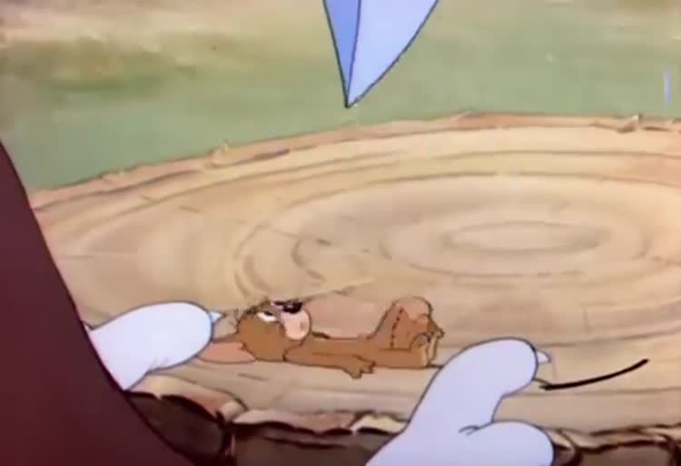 تام و جری فصل نهم قسمت سوم