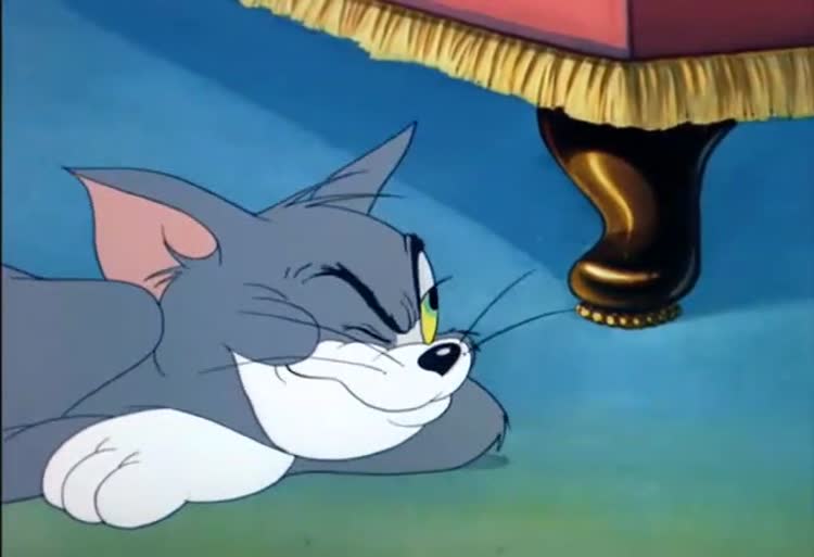 تام و جری بهشت گربه ها