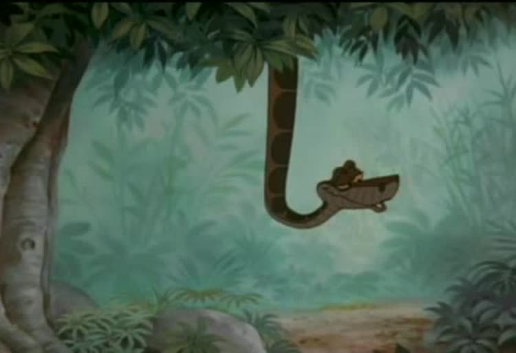 قسمتی از کارتون کتاب جنگل