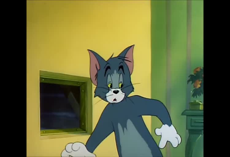 تام و جری دفترچه خاطرات