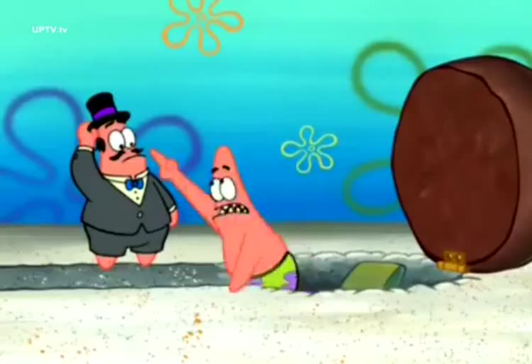 باب اسفنجی تاج