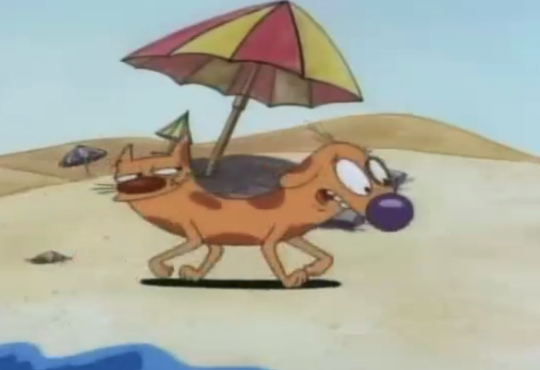 کارتون گربه سگ امان از کک