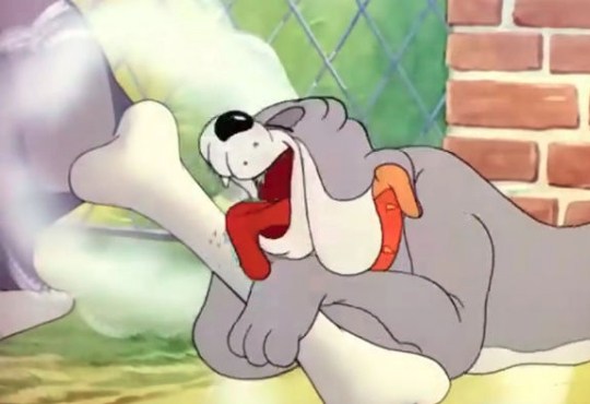 کارتون تام و جری ماهیگیری