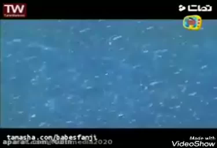 باب اسفنجی