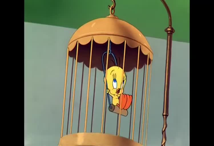 کارتون لونی تونز / ماجراهای توییتی و سیلوستر / Tweety and Sylvester's Adventures / Looney Tunes