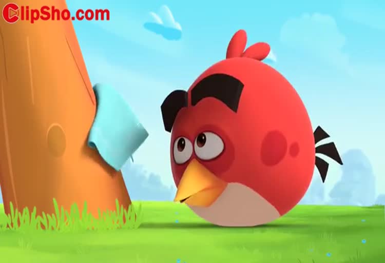 کارتون انگریبردز / پایین سیم 