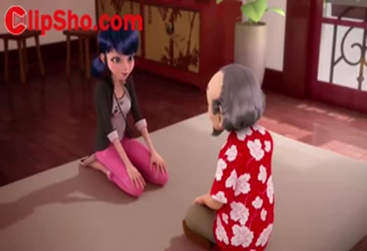 کارتون دختر کفشدوزکی / لیدی باگ و گربه نویر  