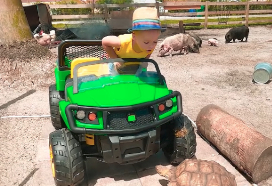 برنامه کودک ولاد و نیکیتا حیوانات مزرعه