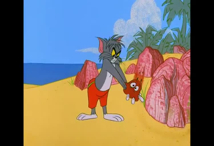 کارتون تام و جری / شروع تابستان