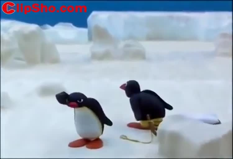 برنامه کودک پینگو / پینگو قاطی شده!