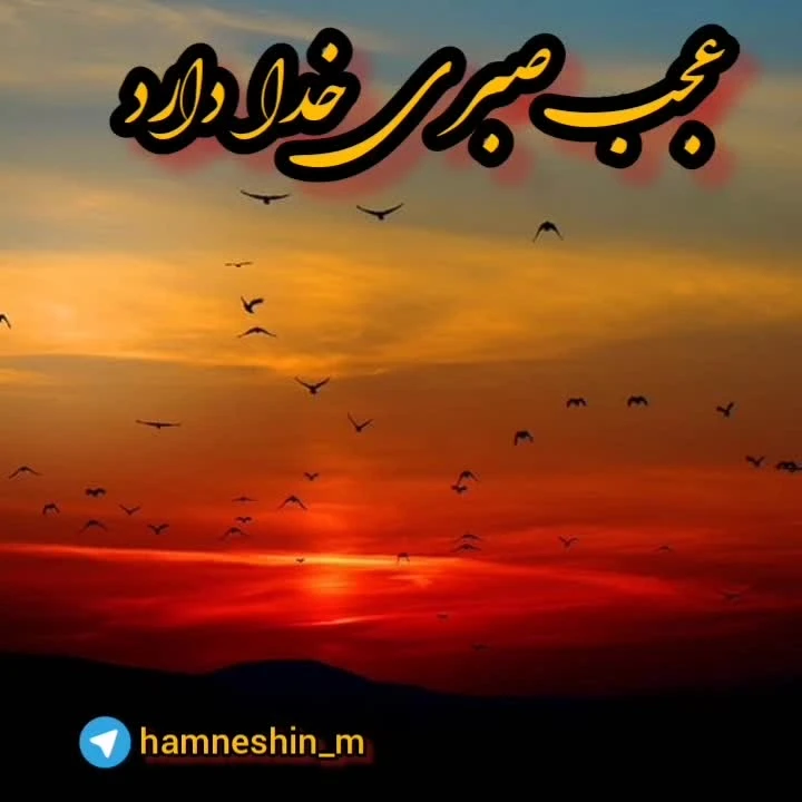 آهنگ پرستوها همه رفتن از سعید