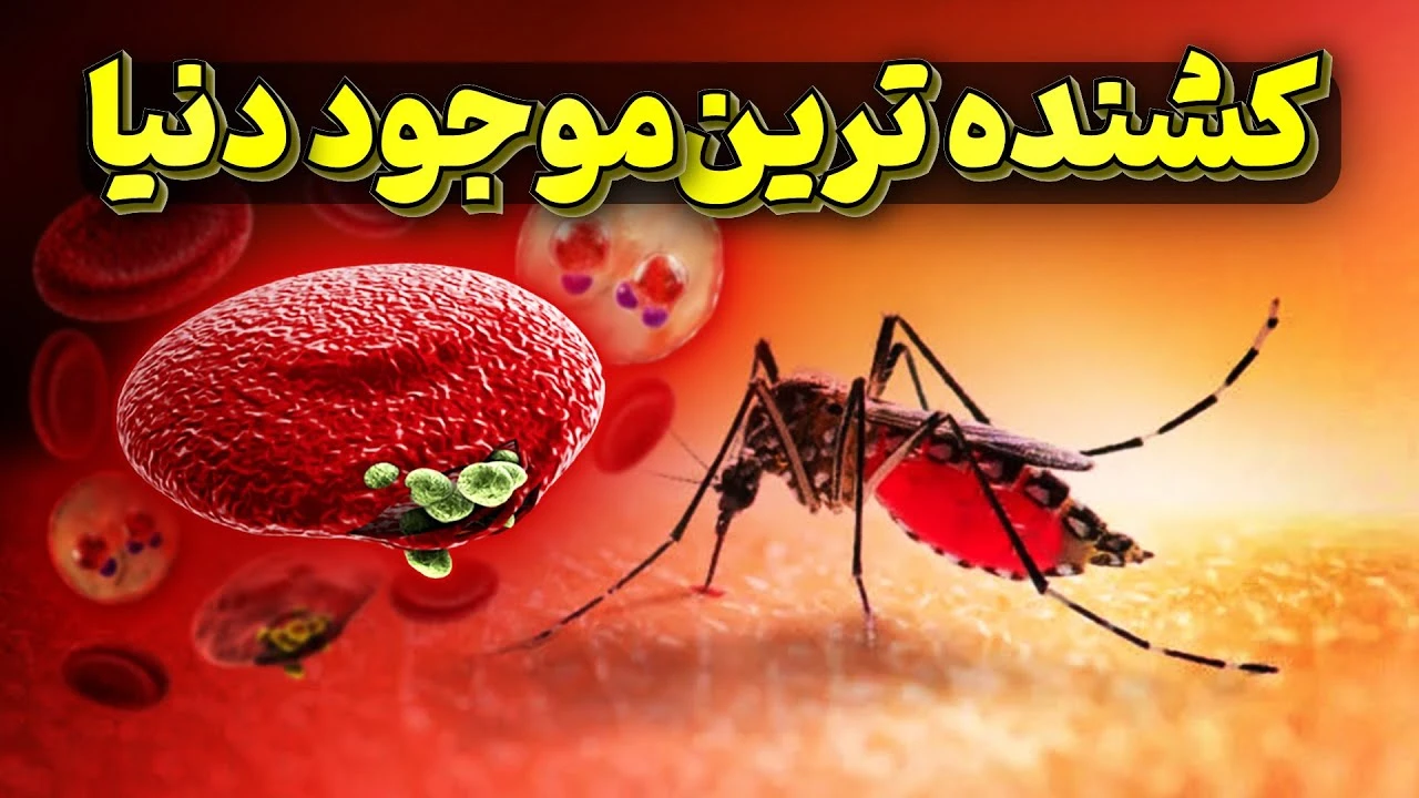 کشنده ترین موجود دنیا