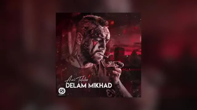 آهنگ دلم مى خواد امير تتلو