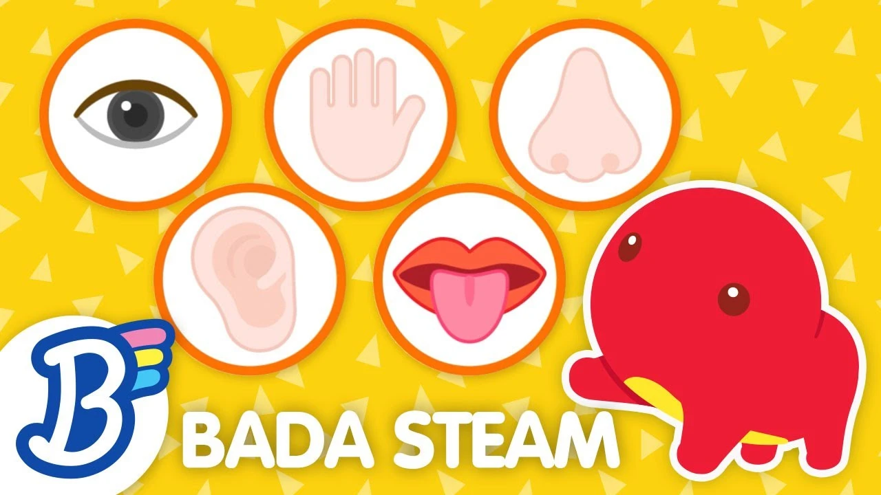 کارتون بادانامو / درس حس ها
