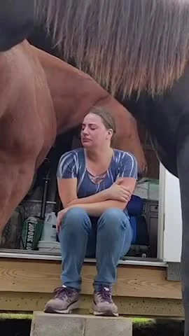 بهترین ویدیوهای حیوانات تا به حال 